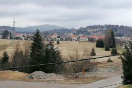 Ravna Gora, dobra kuća za život ili iznajmljivanje, Ravna Gora, House