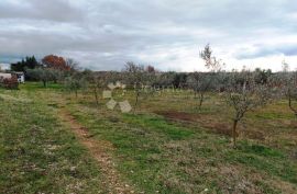 Kuća sa prostranom okućnicom, Vodnjan, Haus