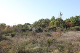 ZEMLJIŠTE NA PREKRASNOJ LOKACIJI U OKOLICI BARBARIGE, Vodnjan, Land