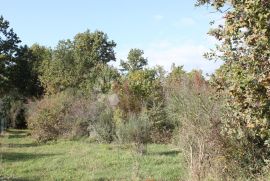 ZEMLJIŠTE NA MIRNOJ LOKACIJI U OKOLICI BARBARIGE, Vodnjan, Terrain