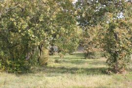 Mirna lokacija - 2 km od mora, Vodnjan, Tierra