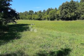 Poljoprivredno zemljište u okolici Barbana, Barban, Terra