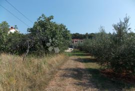 Pula-Busoler građevinsko zemljište, Pula, Terreno