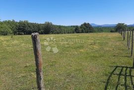 Poljoprivredno zemljište u okolici Barbana, Barban, Terrain