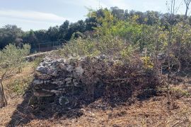 ROVINJ – lijepa padina s pogledom, dijelom maslinik, dijelom pašnjak, Rovinj, Arazi