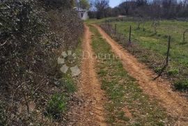 BARBAN, HRBOKI, okolica, građevinsko zemljište na mirnoj lokaciji, Barban, Zemljište