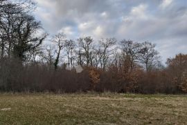 ST. NEGRIN - poljoprivredno zemljište!, Vodnjan, Land