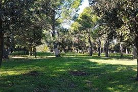 ROVINJ, EKSKLUZIVNO ZEMLJIŠTE 12050 m², Rovinj, Terrain