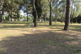 ROVINJ, EKSKLUZIVNO ZEMLJIŠTE 12050 m², Rovinj, Terrain