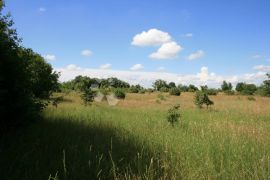 Svetvinčenat, poljoprivredna parcela na lijepoj lokaciji, Svetvinčenat, Γη