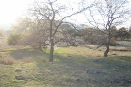 Građevinsko zemljište Supetarska Draga, Rab, Terrain