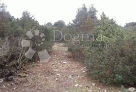 Poljoprivredno zemljište 20 000 m2  na otoku Cresu, Mali Lošinj, Земля