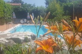 Kamena villa s bazenom, Višnjan, Дом