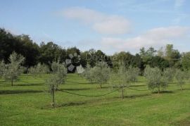 Istra, Labin - kuća - starina  ( Stancija ), Labin, Casa