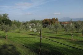 Istra, Labin - kuća - starina  ( Stancija ), Labin, Casa