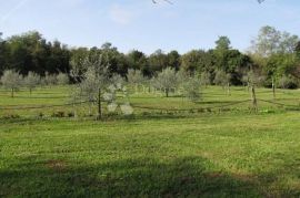 Istra, Labin - kuća - starina  ( Stancija ), Labin, Casa