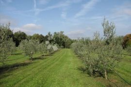 Istra, Labin - kuća - starina  ( Stancija ), Labin, Casa