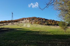 Dvojna kuća s lijepom okućnicom, Ravna Gora, Kuća