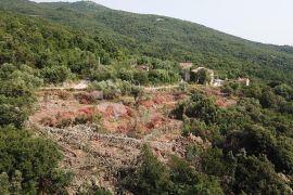 TEREN ISTRA NEDEŠĆINA 3500 m², Sveta Nedelja, Tierra