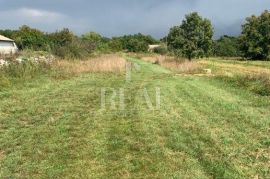 Istra, Režanci građevinsko zemljište 510m2 !, Svetvinčenat, Terrain