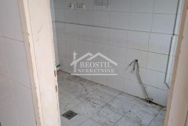 Vračar - 210m2+3.6a ID#19051, Vračar, Casa