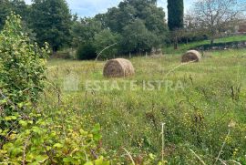 Građevinsko zemljište u Šegotićima, Istra, na prodaju, Marčana, Tierra