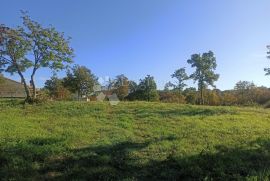 Atraktivno građevinsko zemljište u okolici Barbana, Barban, Land