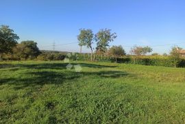 Atraktivno građevinsko zemljište u okolici Barbana, Barban, Land