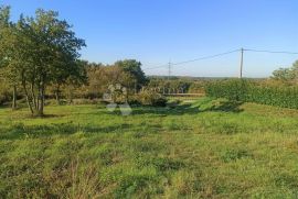 Atraktivno građevinsko zemljište u okolici Barbana, Barban, Land