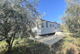 Predivan maslinik sa mobile home kućicom, Medulin, Land