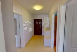 Stan u prizemlju s vrtom, Novigrad, Appartement