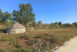 Zemljište u Peroju na 700 m od mora, Vodnjan, Zemljište