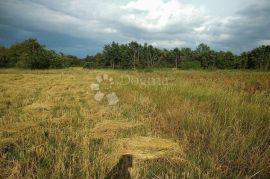 Poljoprivredno zemljište sa malom gradjevinskom parcelom!, Svetvinčenat, Tierra