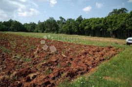 Poljoprivredno zemljište sa malom gradjevinskom parcelom!, Svetvinčenat, Tierra