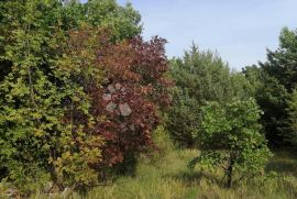 Poljoprivredno zemljište sa malom gradjevinskom parcelom!, Svetvinčenat, Tierra