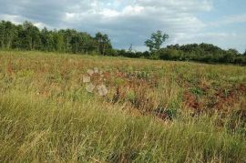 Poljoprivredno zemljište sa malom gradjevinskom parcelom!, Svetvinčenat, Tierra