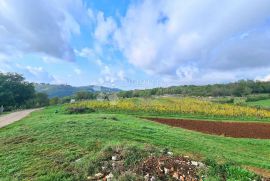 Istra, neodoljiva starina na vrhu brdašca, Oprtalj, Haus