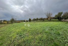 Građevinsko zemljište s pogledom na Motovun, Karojba, Terra