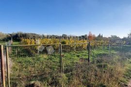 Poljoprivredno zemljište sa maslinikom i vinogradom, Pula, Tierra