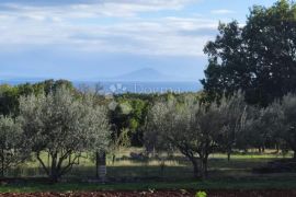 Poljoprivredno zemljište u Išićima, Marčana, Terrain