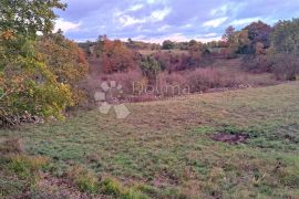 Poljoprivredno zemljište okruženo zelenilom, Tinjan, Terrain