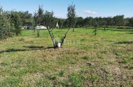 OTOK PAŠMAN, DOBOPOLJANA - Građevinsko zemljište s pogledom na more, Pašman, Land