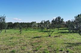 OTOK PAŠMAN, DOBOPOLJANA - Građevinsko zemljište s pogledom na more, Pašman, Land