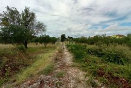 ZADAR, SUKOŠAN - Građevinsko zemljište na izoliranoj lokaciji, Sukošan, Arazi