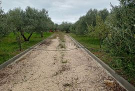 ŠIBENIK, ZATON - Prostrano imanje s objektom i građevinskom dozvolom, Šibenik - Okolica, Arazi