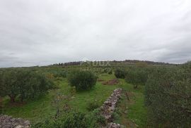 ŠIBENIK, ZATON - Prostrano imanje s objektom i građevinskom dozvolom, Šibenik - Okolica, Arazi