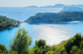 Luksuzna villa s bazenom, u prirodnom okruženju, pogled more, Dubrovnik, Ev