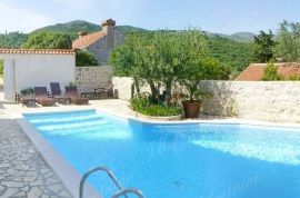 Villa 400 m2 s bazenom i pogledom na more u neposrednoj blizini Dubrovnika, Dubrovnik, Maison