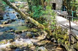 Dvojne ville s bazenima u zelenilu. Okružene prirodnim ljepotama dubrovačkog kraja, Dubrovnik, House