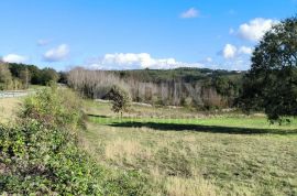 ISTRA, TINJAN - 10743 m2 građevinskog zemljišta s objektom!, Tinjan, Land